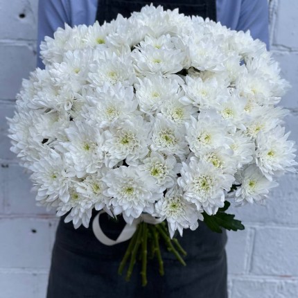 Белая кустовая хризантема - купить с доставкой в по Куровскому